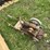 maytag-washing-machine-motor-image-3