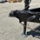 2026-five-star-dt065-t/a-dump-trailer-image-9