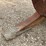 #2850-•-rockland-log-forks-with-grapple-image-14