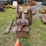 #2087-•-heavy-duty-industrial-shear-image-4