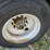 2013-wabash-national-refrigerated-van-image-85