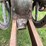 7hp-hercules-image-16