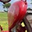 farmall-560-image-63