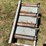 #201-•-roll-case-and-dead-rolls-image-15
