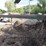 #160-•-log-deck-image-3