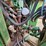 john-deere-8760-image-56