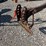 #6633-•-vintage-plow-image-20