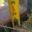 #101-•-set-of-42"-pallet-forks-image-8