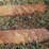#105-•-set-of-42"-pallet-forks-image-5