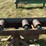 #202-•-rollcase-image-9