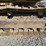 komatsu-pc210-lc-10-image-68