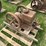 1.5hp-mccormick-deering-ihc-m-image-3