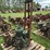 monitor-pump-jack-image-2