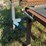 #218-•-side-transfer-belt-and-deadroll-image-8