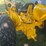 1969-john-deere-300-image-13