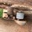 6hp-mccormick-deering-ihc-m-w/-clutch-pulley-image-12