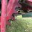 30-60-aultman-taylor-image-14