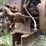 1.5-hp-stover-image-7
