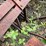 #2023-•-3pt-furrow-disk-image-15