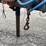 #1974-•-2015-load-trail-18'-trailer-(has-wi-title)-image-10