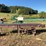 #219-•-belt-conveyor-image-2