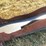 #227-•-belt-conveyor-image-6