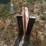 #103-•-set-of-42"-pallet-forks-image-3