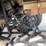 1998-arctic-cat-500-image-13
