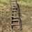 #201-•-roll-case-and-dead-rolls-image-4