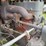 22-40-gray-drum-drive---canadian-special-image-14
