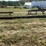 #207-•-belt-conveyor-image-5
