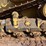 caterpillar-d9r-image-59