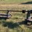 #223-•-line-shaft-on-mounts-image-2
