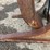 #2852-•-rockland-grapple-forks-image-19