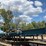 #161-•-2017-baker-3560e-band-sawmill-image-2