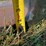 #107-•-set-of-42"-pallet-forks-[damaged]-image-9