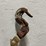 #5514-•-power-pull-come-along-(cw)-image-4