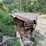 #162-•-morbark-logtrough-image-9