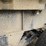 1970-fruehauf-end-dump-trailer-image-60