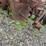 #2075-•-5'-3pt-disk-image-9