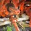 #2030-•-allis-chalmers-ca-tractor-image-25