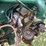 6-12-allis-chalmers-image-10