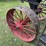 20hp-advance-rumely-universal-image-16