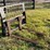 #101-•-skid-steer-forks-image-2