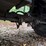 1993-mate-end-dump-image-88