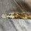 #4826-•-remington-versa-max-12-ga.-semi-auto-shotgun,-sn:-rt92459a-image-18