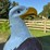 case-eagle-statue-image-9