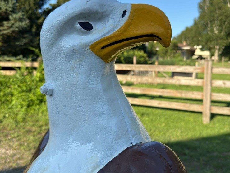 case-eagle-statue-image-9