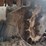 2019-bobcat-t740-image-23