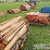 industrial-shelving-(14-uprights,-600-cross-beams)-image-5